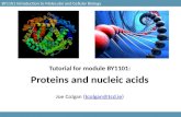 BY1101 Introduction to Molecular and Cellular Biology Tutorial for module BY1101: Proteins and nucleic acids Joe Colgan (tcolgan@tcd.ie)tcolgan@tcd.ie.