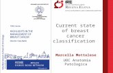 Current state of breast cancer classification Marcella Mottolese UOC Anatomia Patologica.