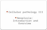 Cellular pathology III Neoplasia: Introduction and Overview.