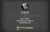 By C. Kohn Agricultural Science Waterford, WI.   DNA is deoxyribonucleic acid.  It is kept in the nucleus of a cell to protect it.  DNA = Instructions.