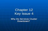 Chapter 12 Key Issue 4 Why Do Services Cluster Downtown?