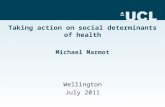 Taking action on social determinants of health Michael Marmot Wellington July 2011.