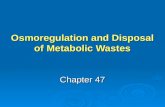 Osmoregulation and Disposal of Metabolic Wastes Chapter 47.