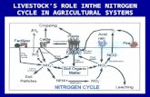 LIVESTOCK’S ROLE INTHE NITROGEN CYCLE IN AGRICULTURAL SYSTEMS.