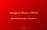RHY/CH00561 Biology of Disease CH0576 Hyperbilirubinaemia & Jaundice II.