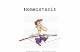 Homeostasis. What is homeostasis? (same) (state) Regulation and internal maintenance of the body The body works best when internal conditions are within.
