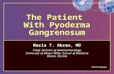 The Patient With Pyoderma Gangrenosum Maria T. Abreu, MD Chief, Division of Gastroenterology University of Miami Miller School of Medicine Miami, Florida.