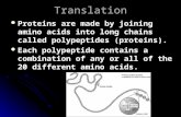 Translation Proteins are made by joining amino acids into long chains called polypeptides (proteins). Proteins are made by joining amino acids into long.