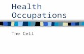 Health Occupations The Cell. Definitions Anatomy Study of form & structure of organism Physiology Study of processes of living organisms, why & how they.
