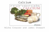 Calcium Nisha Crouser and James Stewart. Building strong bones and teeth Clotting blood Sending and receiving nerve signals Squeezing and relaxing muscles.