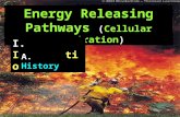 Energy Releasing Pathways (Cellular Respiration) I. Introduction A. History.