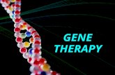 GENE THERAPY. What Genes can do Genes, which are carried on chromosomes, are the basic physical and functional units of heredity. Genes are specific sequences.