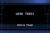 GENE TREES Abhita Chugh. Phylogenetic tree Evolutionary tree showing the relationship among various entities that are believed to have a common ancestor.