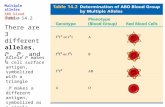Table 14.2 Multiple alleles ABO blood group s There are 3 different alleles, I A, I B, and i Allele I A makes a cell surface antigen, symbolized with a.