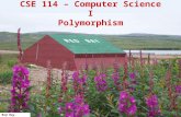 Red Bay, Labrador CSE 114 – Computer Science I Polymorphism.