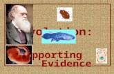Evolution : Supporting Evidence. The following items demonstrate descent with modification, as well as common ancestry. (Darwin’s principle of common.