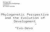 Biology 340 Comparative Embryology Lecture 2 Dr. Stuart Sumida Phylogenetic Perspective and the Evolution of Development “Evo-Devo”