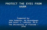 PROTECT THE EYES FROM HARM Prepared by: John Robbins, and Carol J. Lehtola, Ph.D. John Robbins, Ed Drannbauer and Carol J. Lehtola, Ph.D. The University.