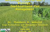 Nutsedge (Cyperus spp.) Biology: Implications For Management Dr. Theodore M. Webster Crop Protection and Management Research Unit USDA-ARS Tifton, GA.