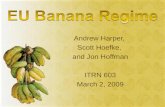 Andrew Harper, Scott Hoefke, and Jon Hoffman ITRN 603 March 2, 2009.