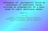 Collapse IAP RAS1 Influence of peripheral field on structure of nonlinear focus arising at propagation of a wave beam in cubic nonlinear media Vlasov S.N.