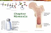 © 2010 Pearson Education, Inc. Chapter 12: Minerals.
