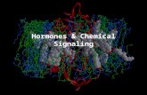 Hormones & Chemical Signaling. Lecture Outline Communication Basics –Communication Overview –Communication Methods –Signal pathways Types Regulation (modulation)