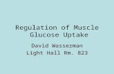 Regulation of Muscle Glucose Uptake David Wasserman Light Hall Rm. 823.