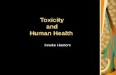 Toxicity and Human Health Inneke Hantoro. Toxicity Toxicity is the potential of a chemical to induce an adverse effect in a living organism e.g., man.