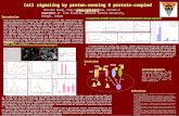 Cell signaling by proton-sensing G protein-coupled receptors Department of Life Sciences, National Central University, Chungli, Taiwan Chia-Wei Huang,