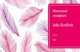 Hormonal receptors Adie Kooffreh 0323. objectives  what is a hormone receptors?  Types of hormone receptors  Types of hormones and their different.