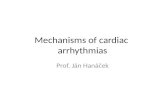 Mechanisms of cardiac arrhythmias Prof. Ján Hanáček.