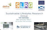 Sustainable Lifestyles Research Group An overview CES Seminar 26th January 2012 Ian Christie, CES and SLRG.
