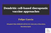 Dendritic cell-based therapeutic vaccine approaches Felipe Garcia 1Hospital Clinic-IDIBAPS-HIVACAT, University of Barcelona. Barcelona.Spain 1Hospital.