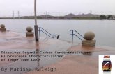 Dissolved Organic Carbon Concentration and Fluorescence Characterization of Tempe Town Lake By Marissa Raleigh.