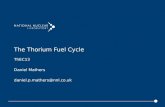 The Thorium Fuel Cycle ThEC13 Daniel Mathers daniel.p.mathers@nnl.co.uk.