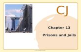 CJ © 2011 Cengage Learning Chapter 13 Prisons and Jails.