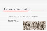 Prisons and Jails Chapter 12 & 13 In Your Textbook John Massey Criminal Justice.