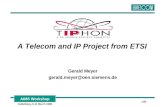 AIMS Workshop Heidelberg, 9-11 March 1998 1/20 A Telecom and IP Project from ETSI Gerald Meyer gerald.meyer@oen.siemens.de.
