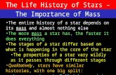 The Life History of Stars – Young Stars The Importance of Mass The entire history of a star depends on its mass and almost nothing else The more mass.