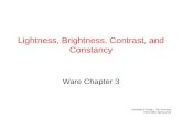 Lightness, Brightness, Contrast, and Constancy Ware Chapter 3 University of Texas – Pan American CSCI 6361, Spring 2014.