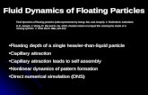 Fluid Dynamics of Floating Particles Fluid dynamics of floating particles (with experiments by Wang, Bai, and Joseph). J. Fluid Mech. Submitted. D.D. Joseph,