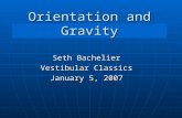 Orientation and Gravity Seth Bachelier Vestibular Classics January 5, 2007.