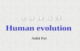 Human evolution Aditi Pai. "Hominid" refers to members of the human family, Hominidae, which consist of all species from the point where the human line.