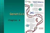 Genetics Genetics Chapter 4 Genetics Is the science of heredity. Heredity is the transmission of genetic or physical traits from parent to offspring.