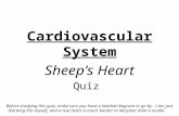 Cardiovascular System Sheep’s Heart Quiz Before studying this quiz, make sure you have a labeled diagram to go by. I am just learning this myself, and.