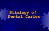 Etiology of Dental Caries. The four circles diagrammatically represent the factors involved in the carious process.all four factors must act concurrently.