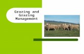 Grazing and Grazing Management. Positive Impacts Proper management – Reduced erosion – Improved water quality – Food for wildlife – Habitat and cover.
