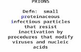 PRIONS Defn: small proteinaceous infectious particles that resist inactivation by procedures that modify viruses and nucleic acids.