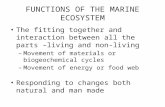 FUNCTIONS OF THE MARINE ECOSYSTEM The fitting together and interaction between all the parts –living and non-living – Movement of materials or biogeochemical.